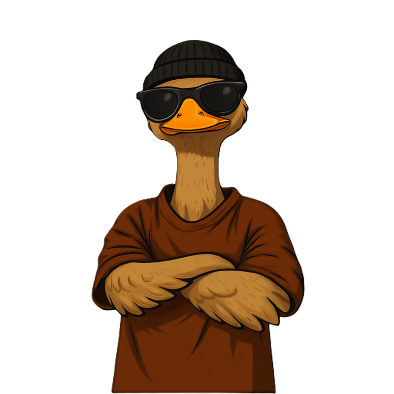Intro
